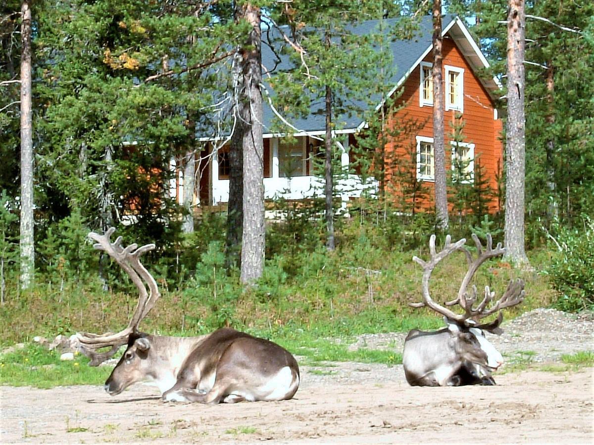 Chalet Riekko Rovaniemi